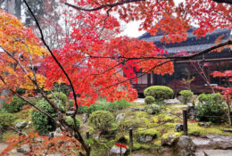 Japan_Autumn_2025 (15/47)